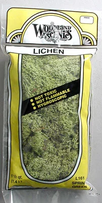 Spring Green Lichen Bag