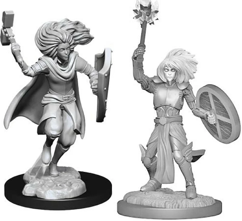 D&D Nolzurs Marvelous Unpainted Miniatures Changeling Cleric ( 2 figures )