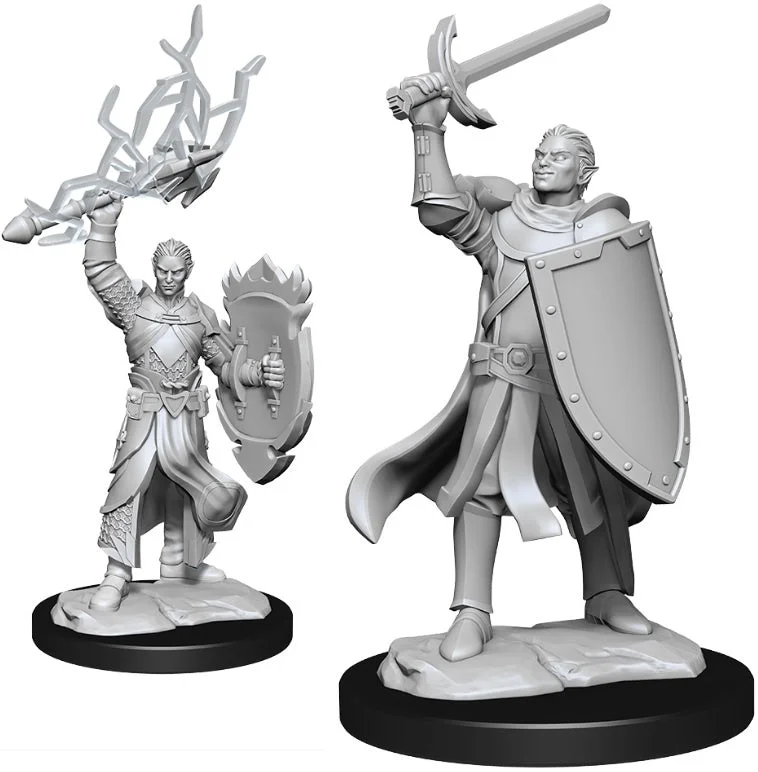 D&D Nolzurs Marvelous Unpainted Miniatures Half-Elf Paladin Male ( 2 figures )