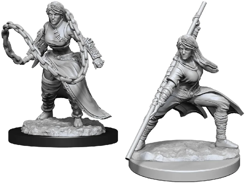 D&D Nolzurs Marvelous Unpainted Miniatures Human Monk Female ( 2 figures )