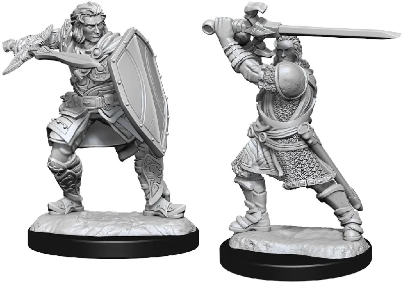 D&D Nolzurs Marvelous Unpainted Miniatures Human Paladin Male ( 2 figures )