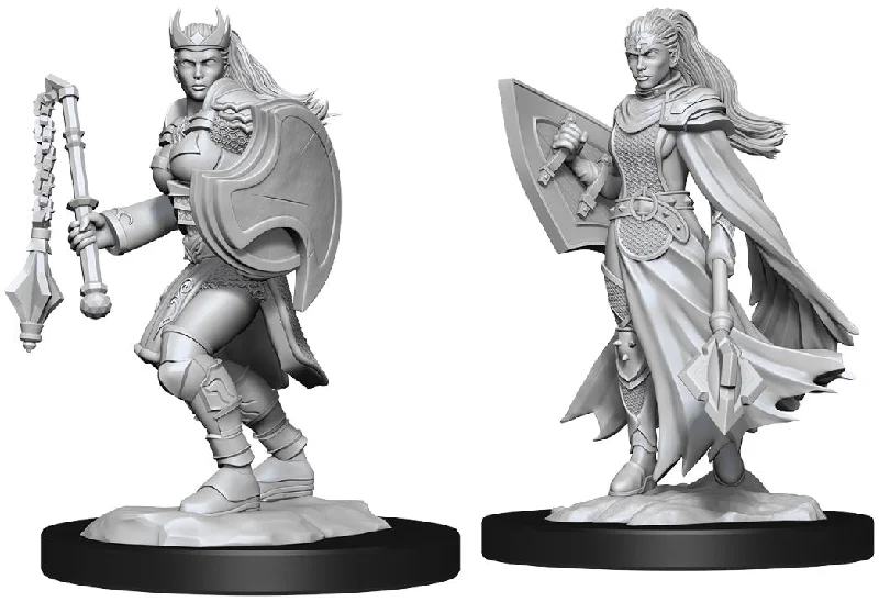 D&D Nolzurs Marvelous Unpainted Miniatures Kalashtar Cleric Female ( 2 figures )