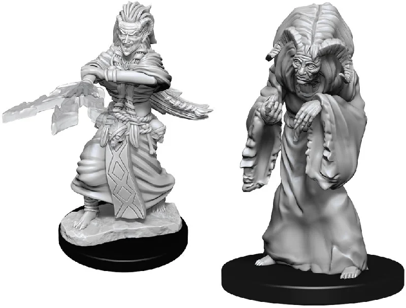 D&D Nolzurs Marvelous Unpainted Miniatures Night Hag & Dusk Hag  ( 2 figures )