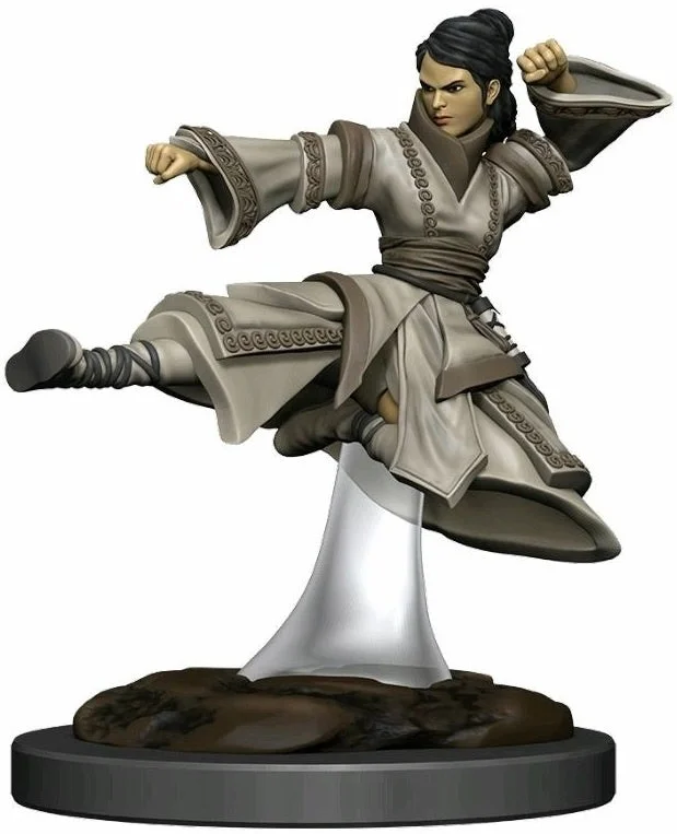 D&D Premium Painted Figures Human Monk Female