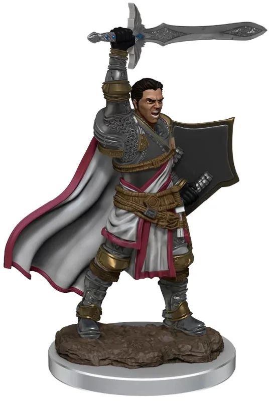 D&D Premium Painted Figures Human Paladin Male