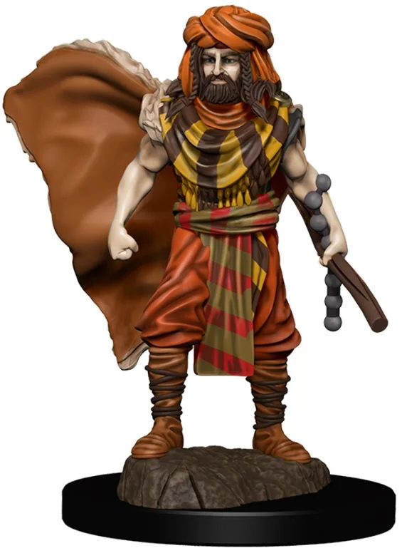 D&D Premium Painted Figures Human Druid Male