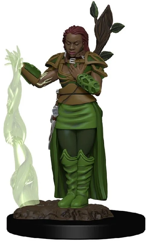 D&D Premium Painted Figures Human Female Druid