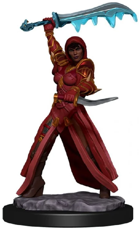 D&D Premium Painted Figures Human Rogue Female